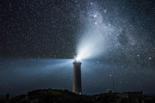 sailing with stars
